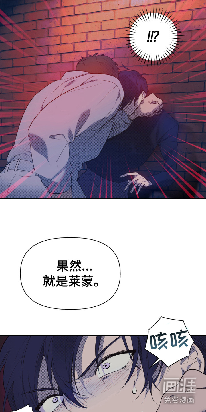 我的小笨熊第2话图