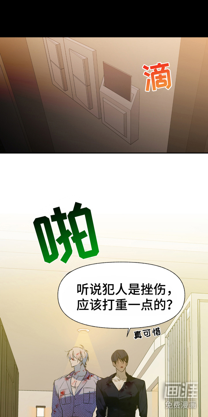 我的小笨熊第3话图