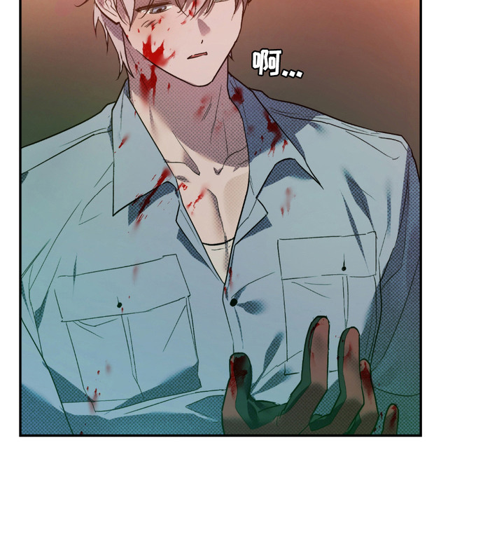 我的小笨熊第3话图