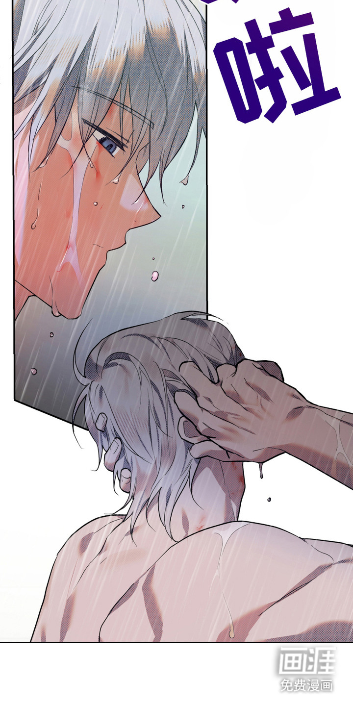 我的小笨熊第4话图