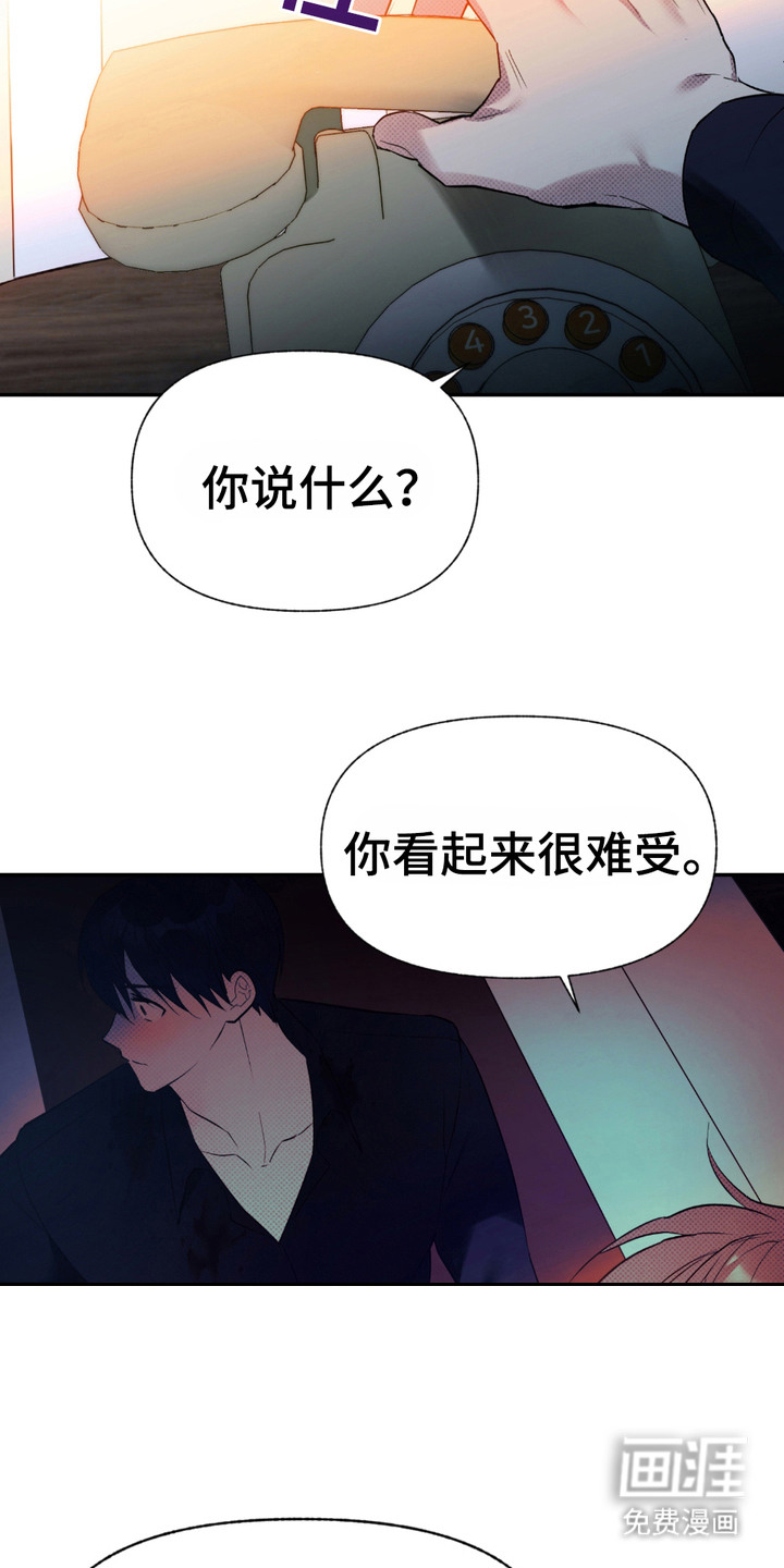 我的小笨熊第5话图