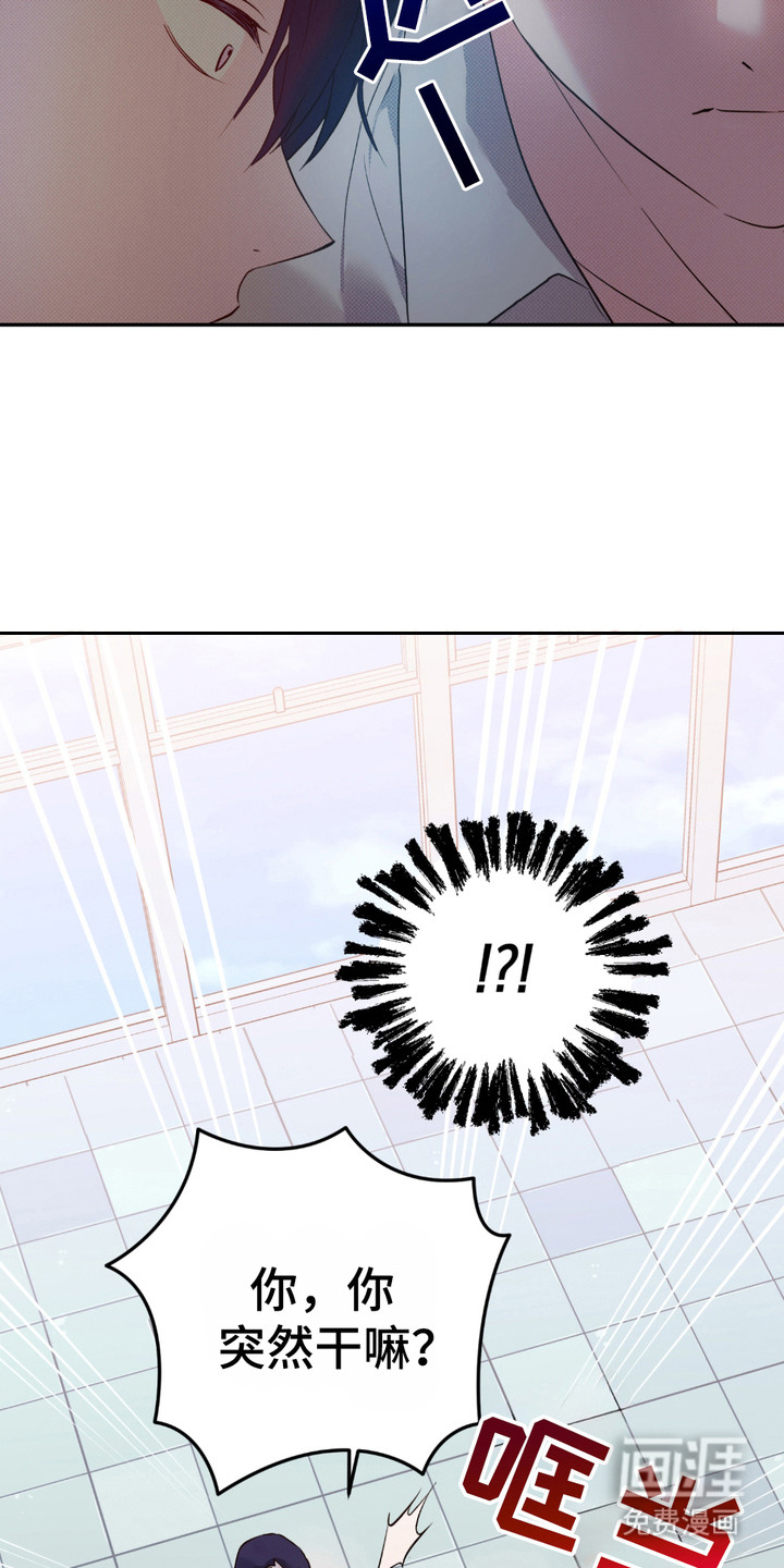 我的小笨熊第6话图