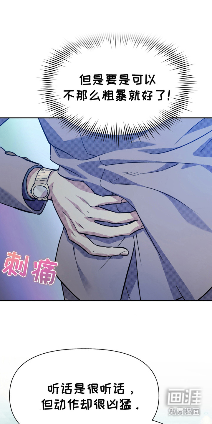 我的小笨熊第8话图