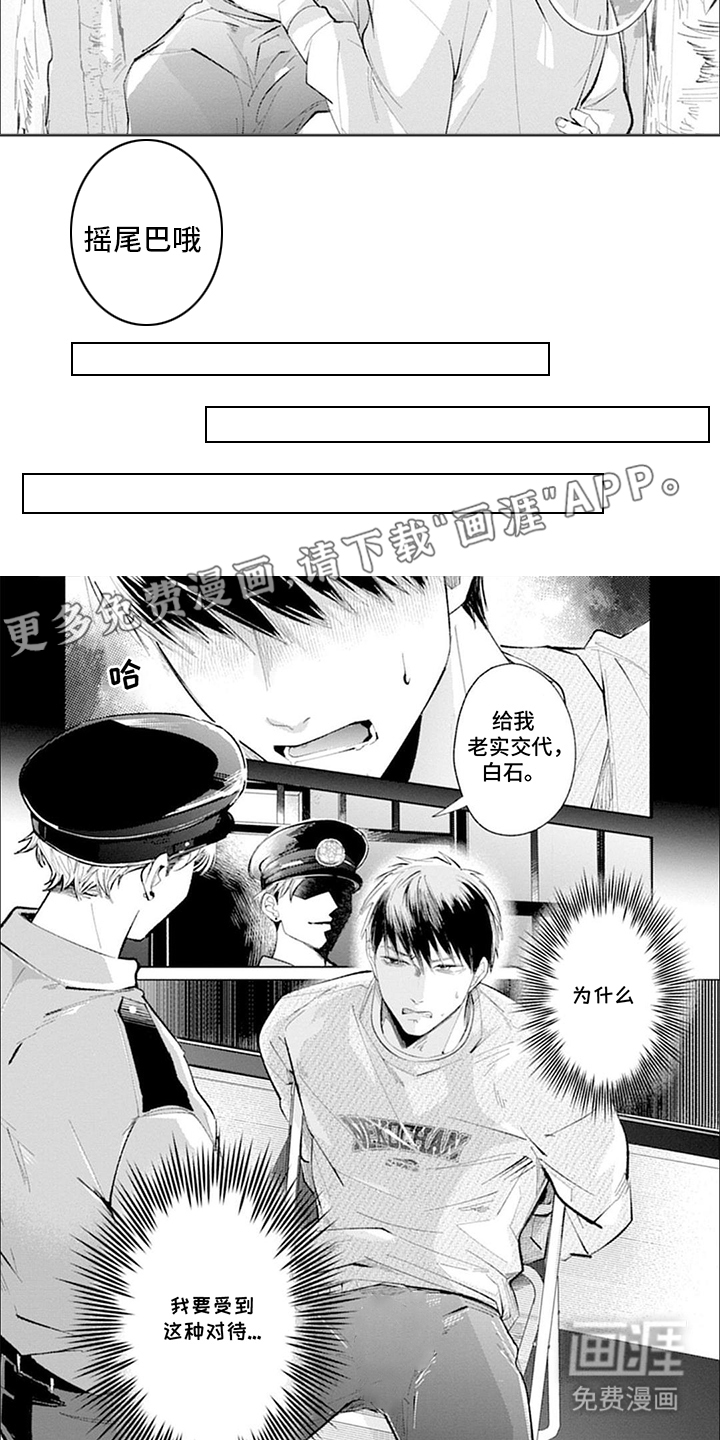 我的特殊调查第15话图