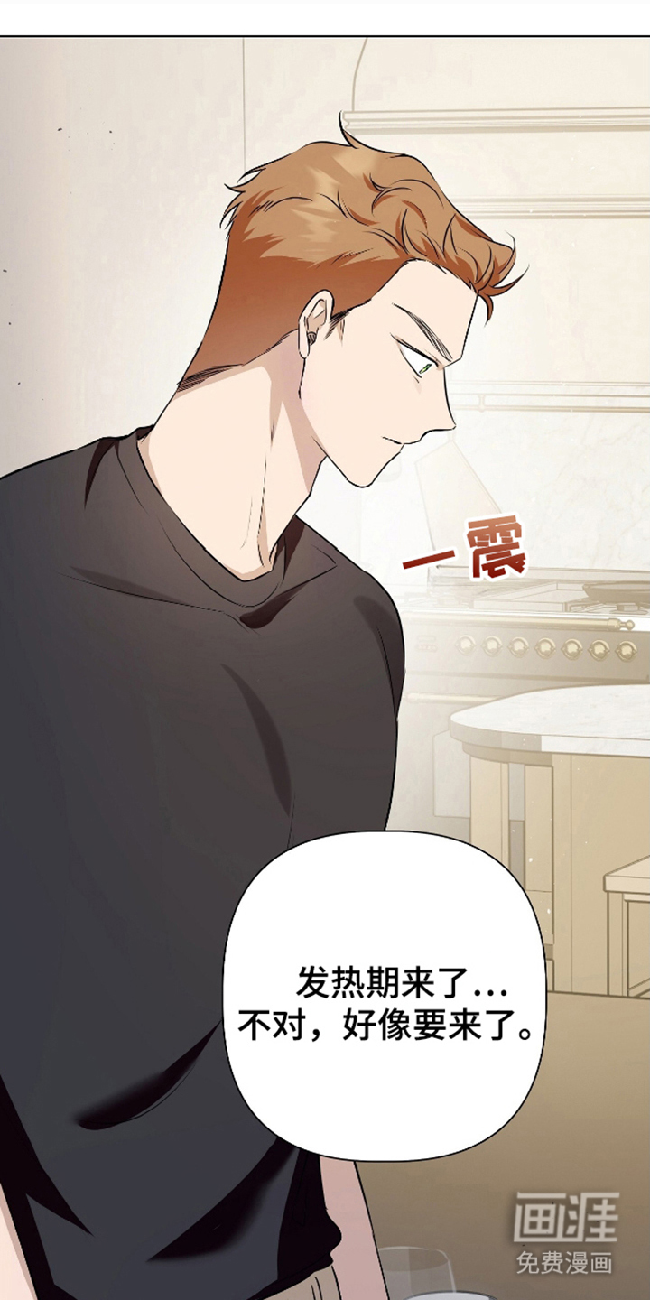 完全欧米伽第14话图