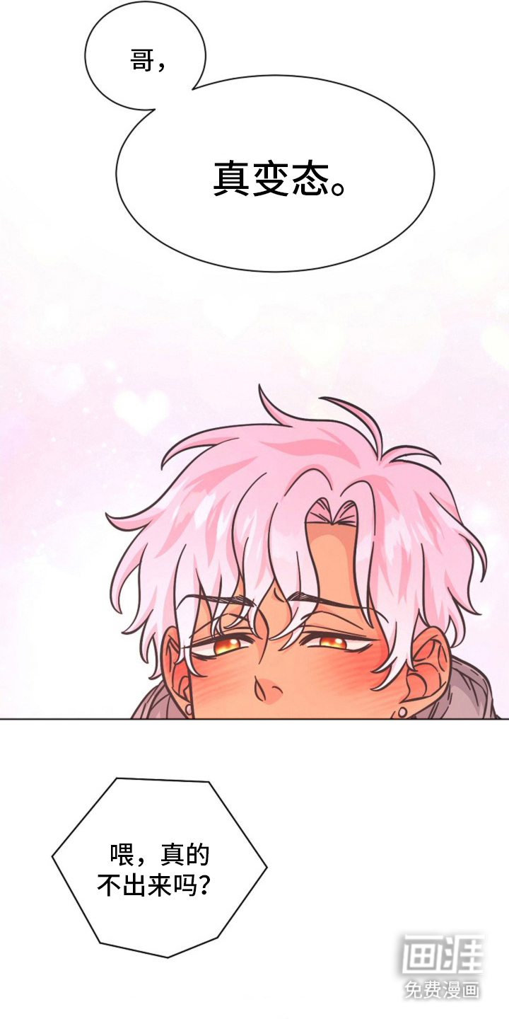 我的爱豆弟弟 第14话 第2页