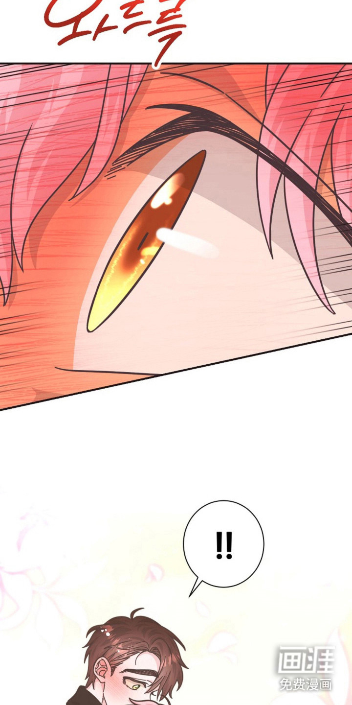 我的爱豆弟弟 第27话 第11页