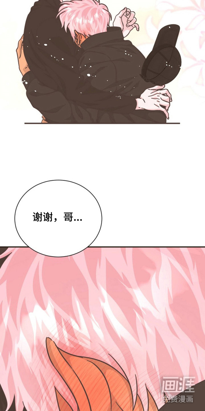 我的爱豆弟弟 第27话 第12页