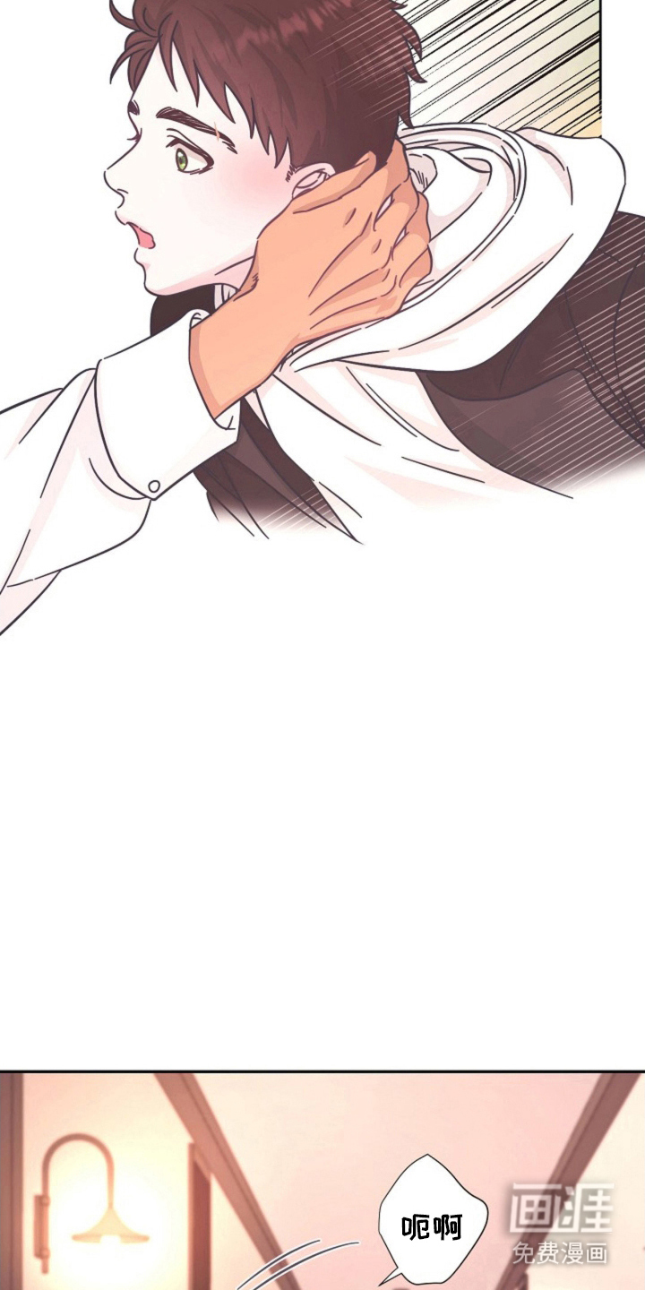 我的爱豆弟弟 第4话 第13页