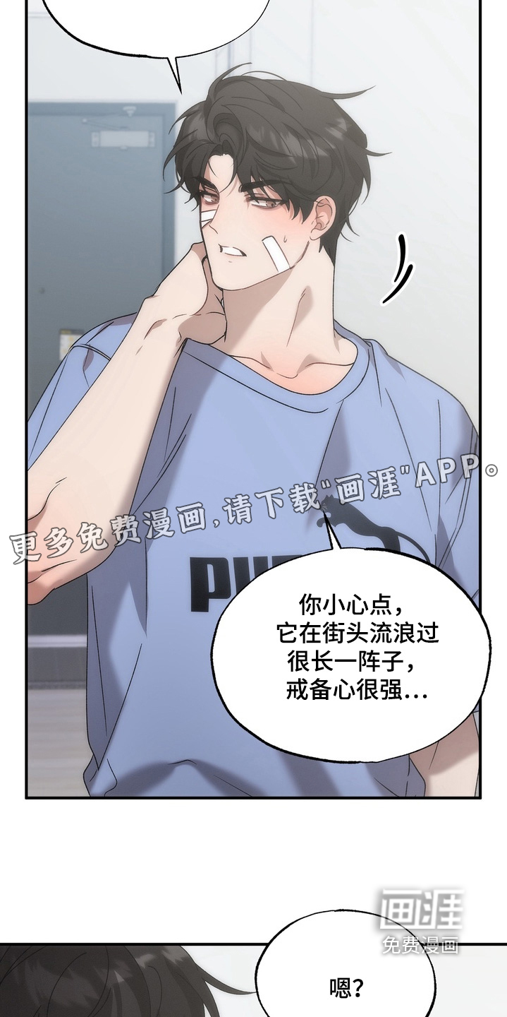 微醺鸡尾酒第16话图