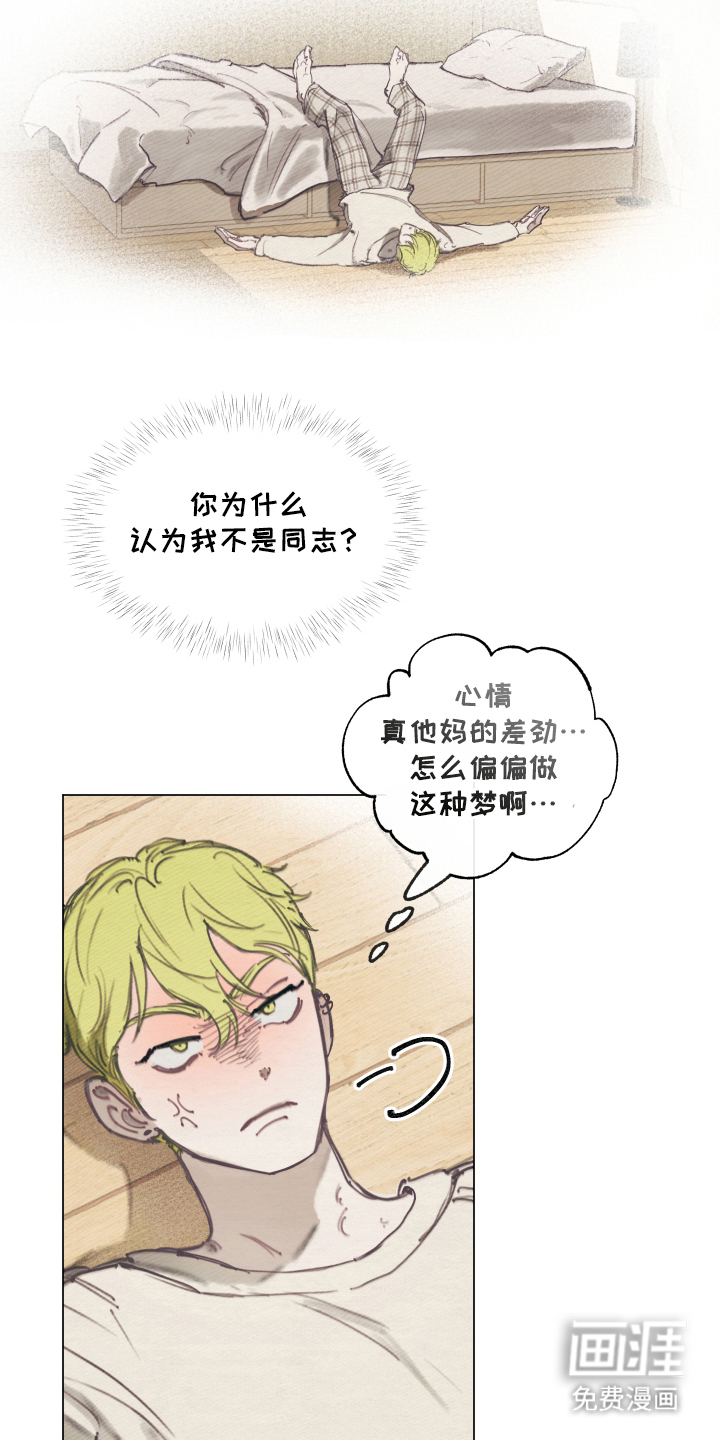 我的完美男友第4话图