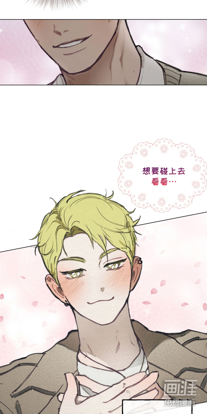 我的完美男友 第5话 第2页