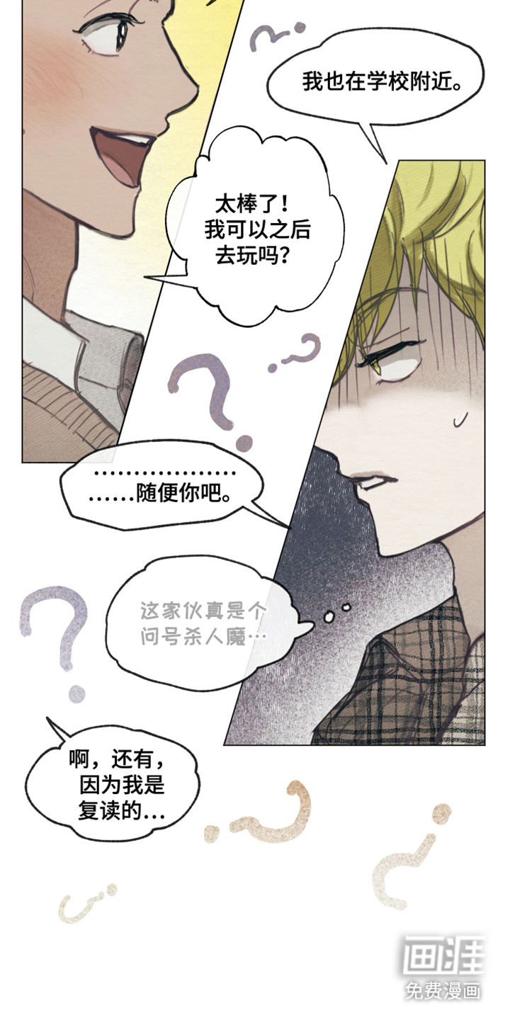 我的完美男友第5话图