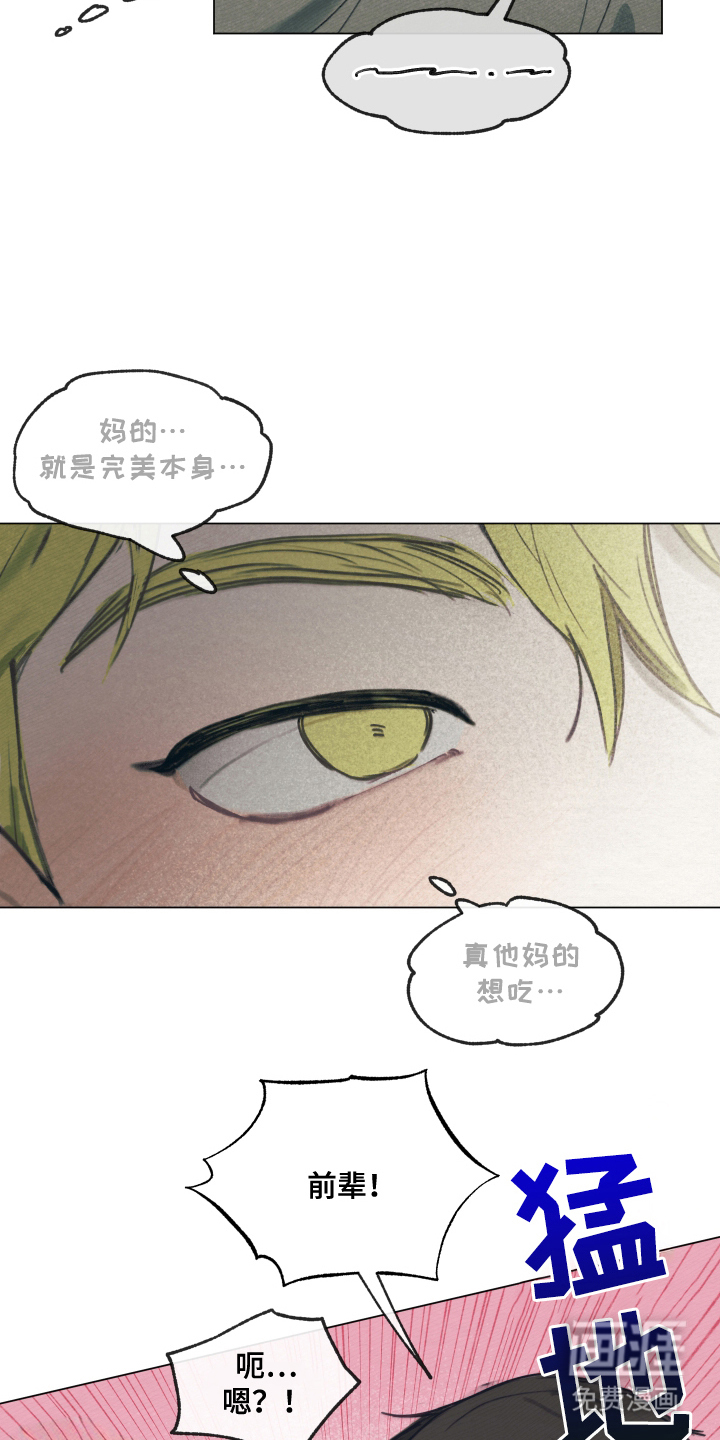 我的完美男友第8话图