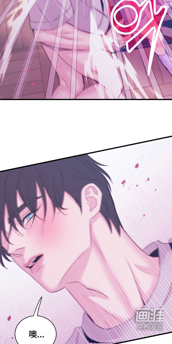 我是完美反派第15话图