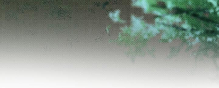 无息之行第26话图