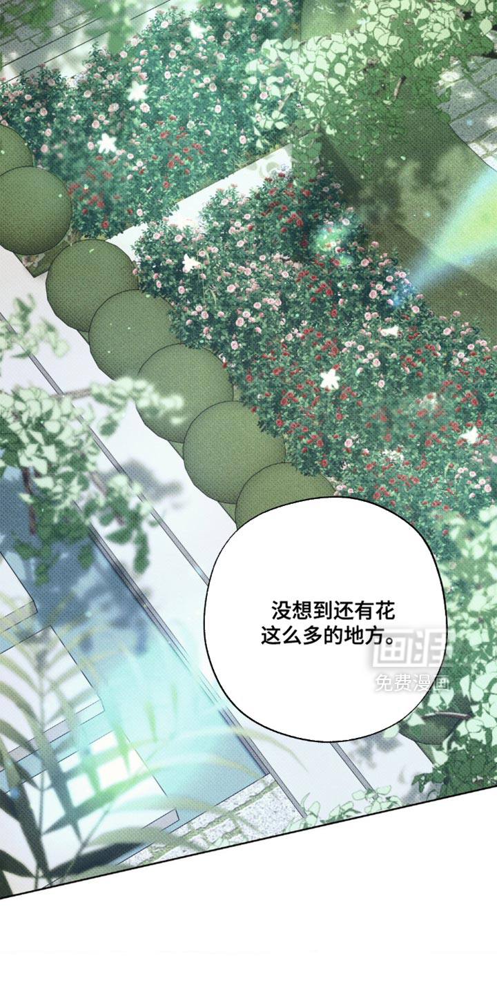 无息之行第28话图