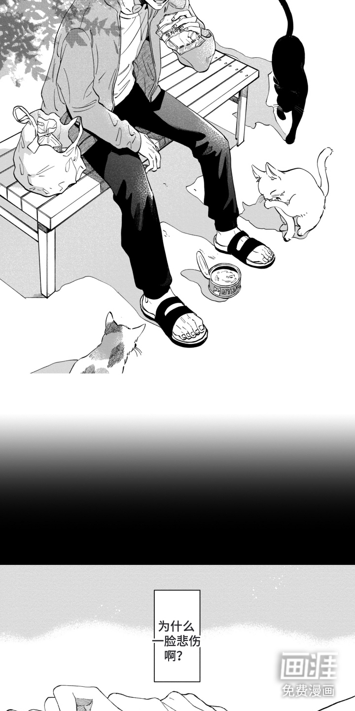 无家可归的孤独第10话图