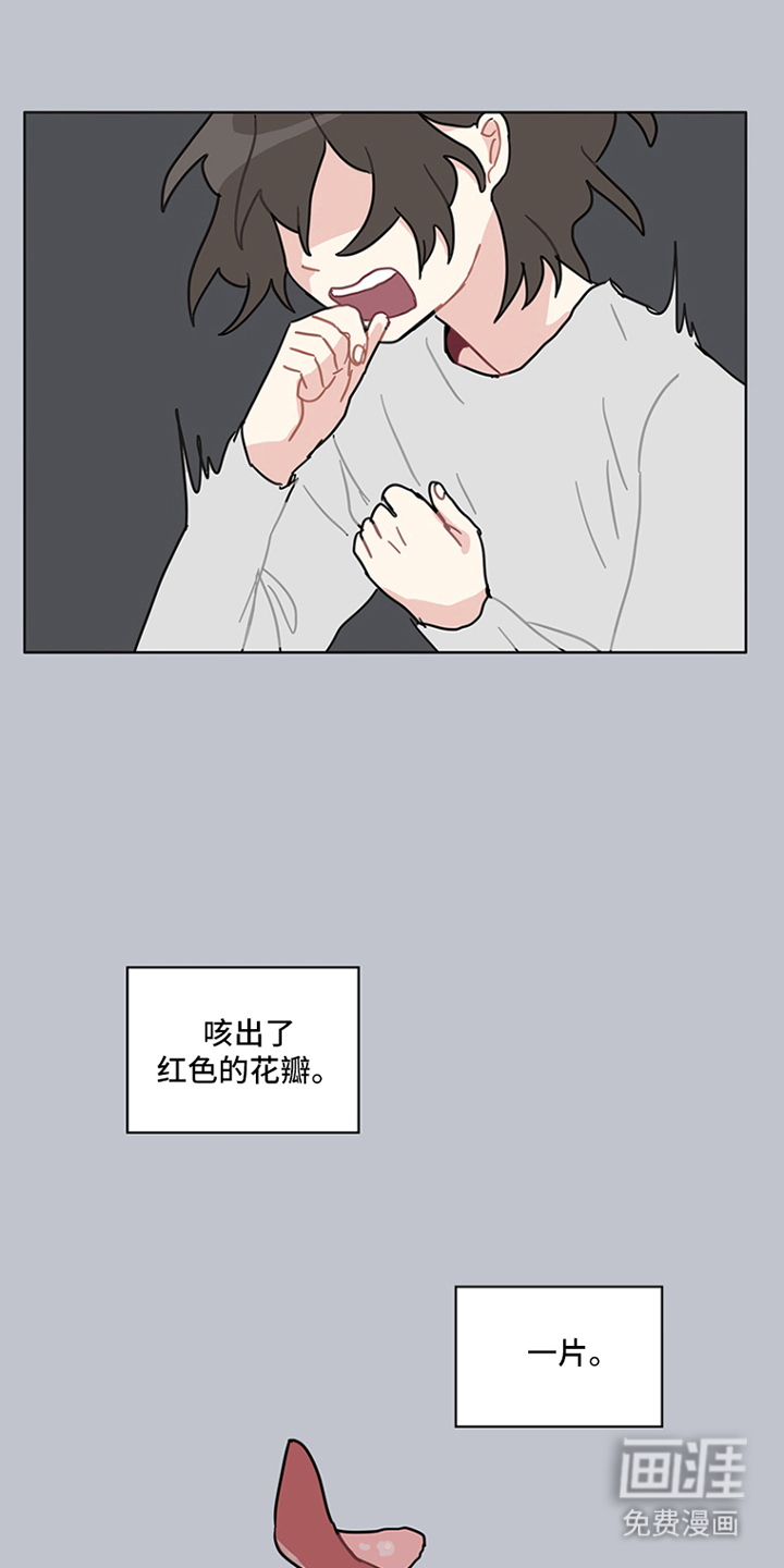 无解的红线第17话图