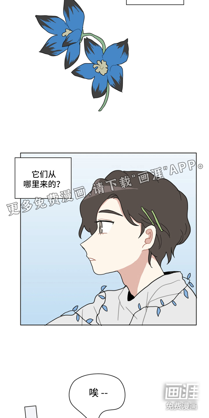 无解的红线第19话图