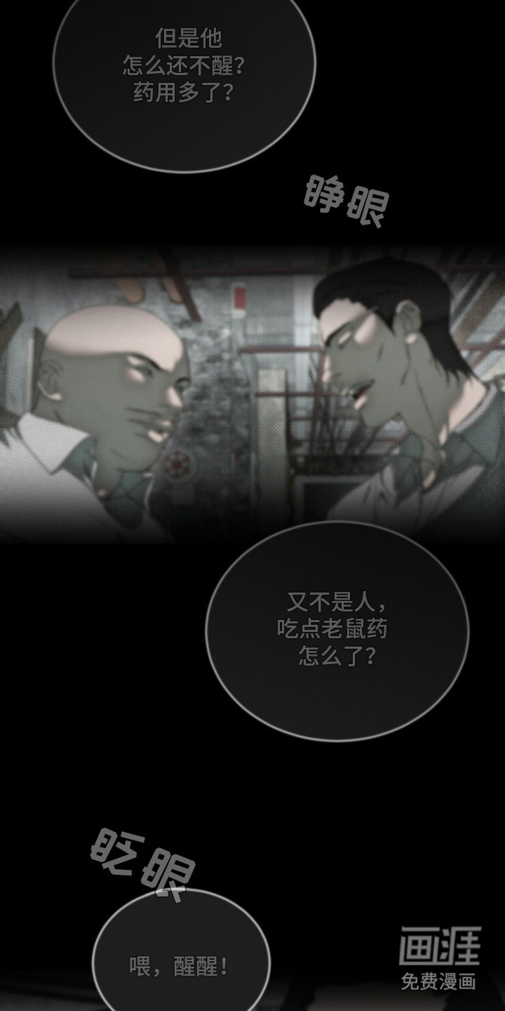 物种的进化第1话图