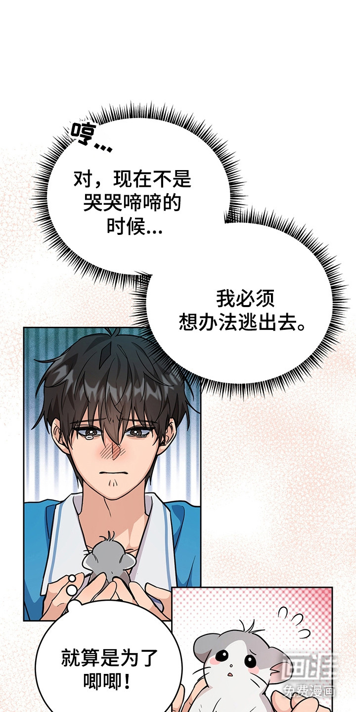 我的仓鼠外挂第3话图