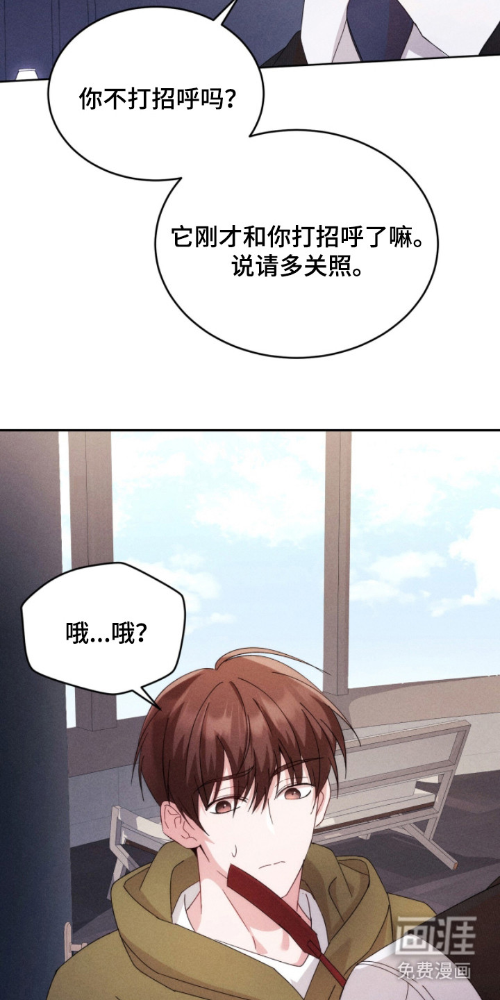 危情三人戏漫画-图9
