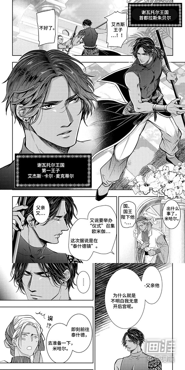 王子的禁忌Omega第1话图