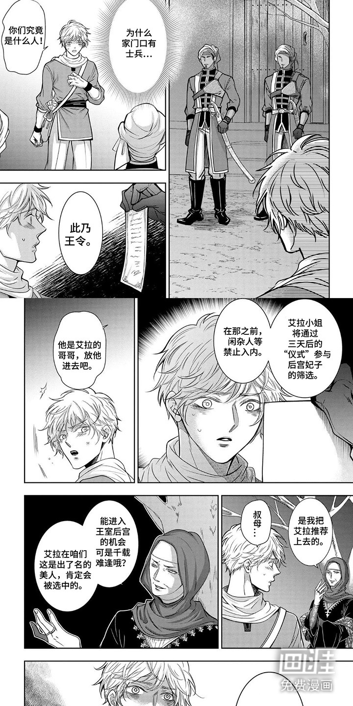 王子的禁忌Omega第3话图