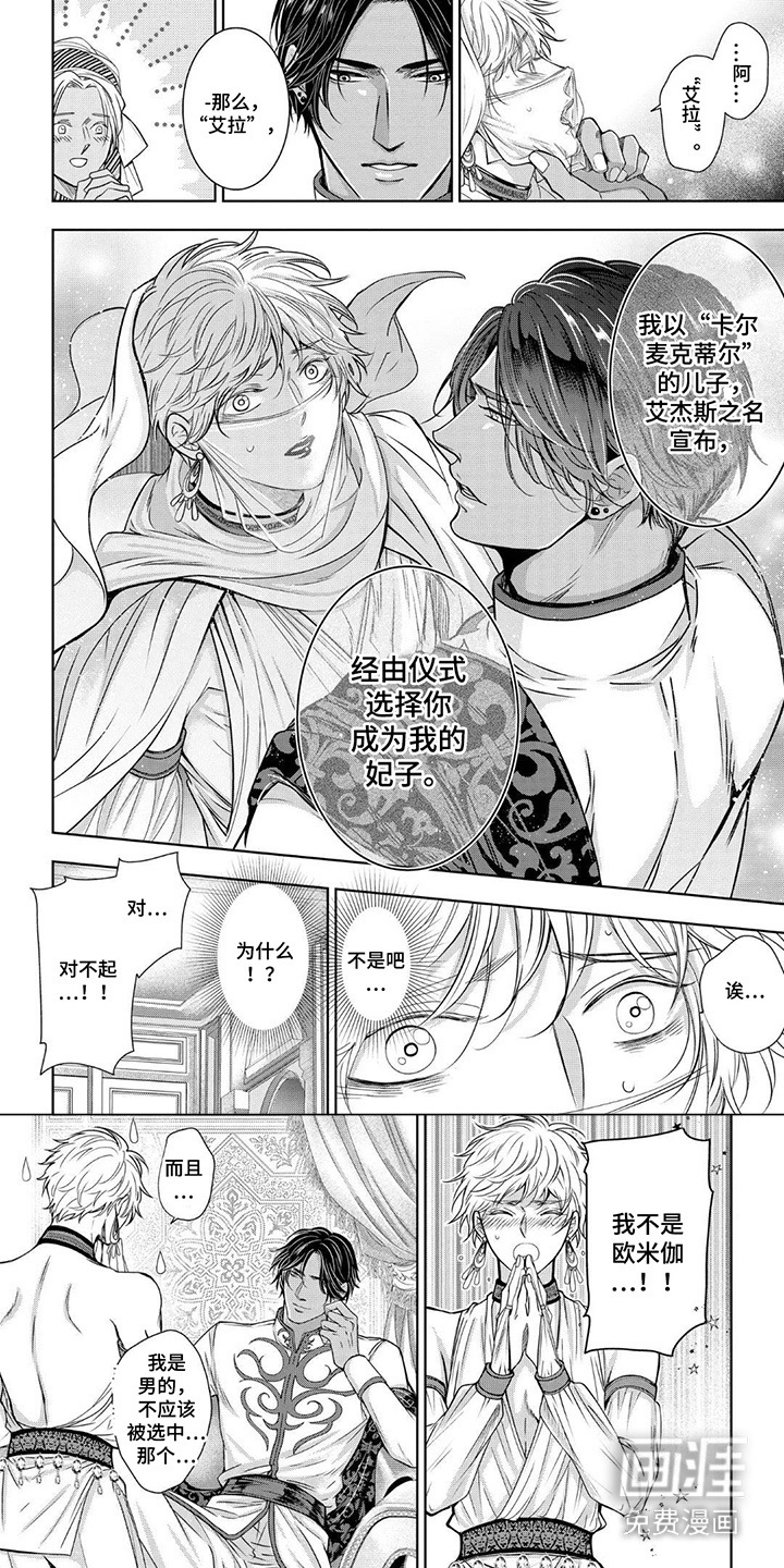 王子的禁忌Omega第4话图