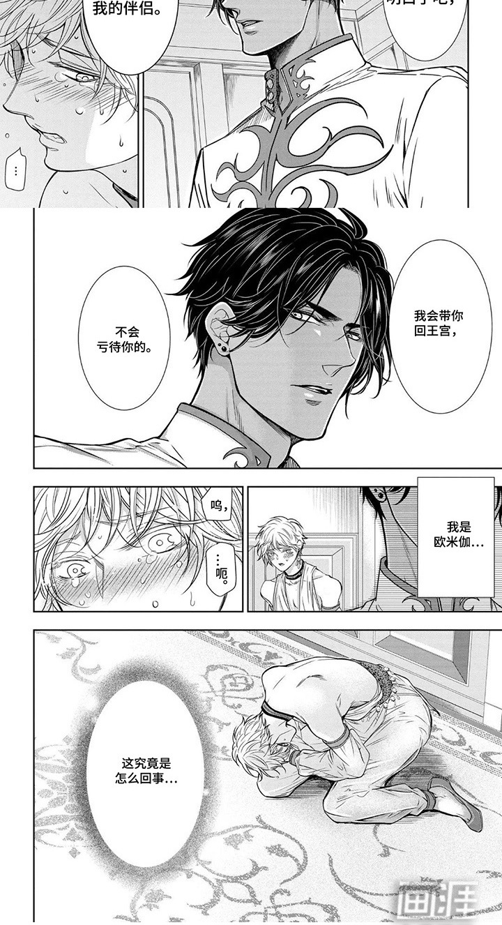 王子的禁忌Omega第4话图