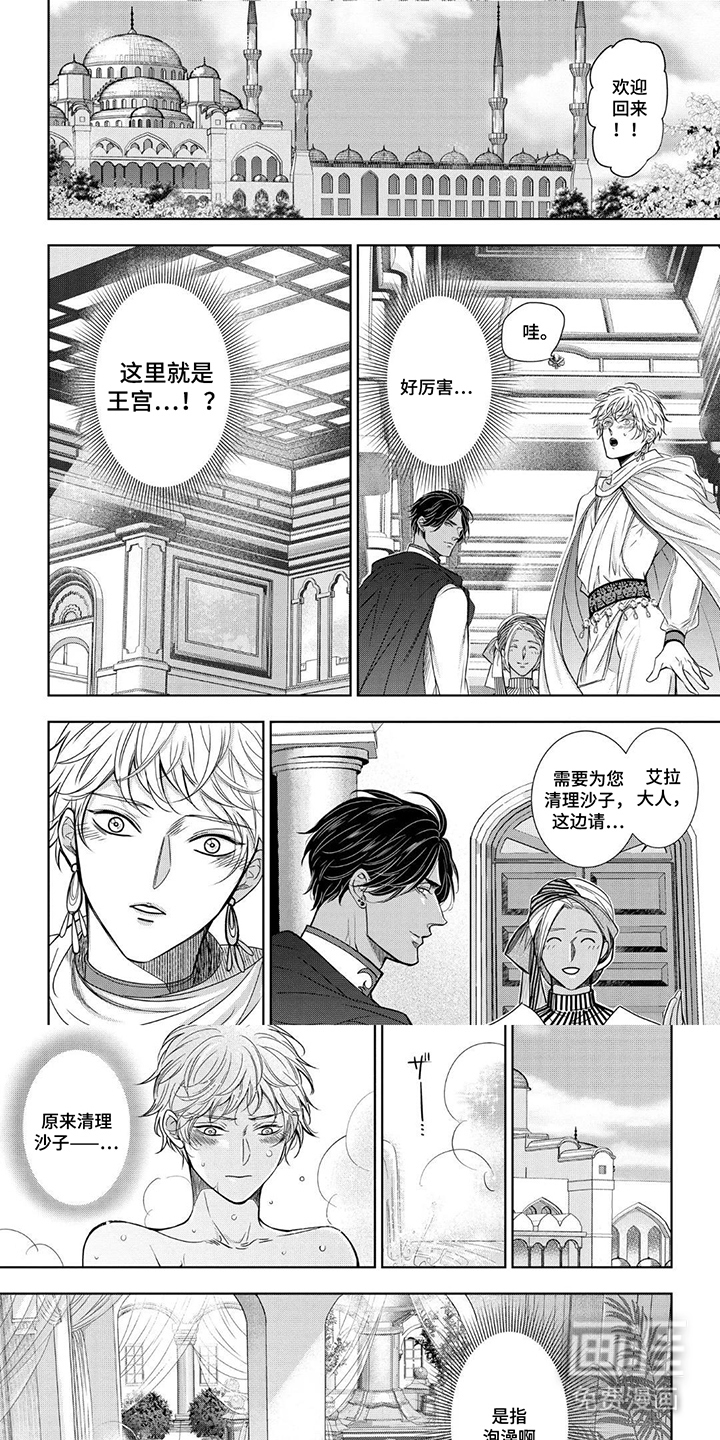 王子的禁忌Omega第5话图