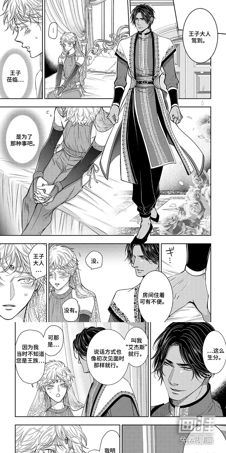 王子的禁忌Omega第6话图