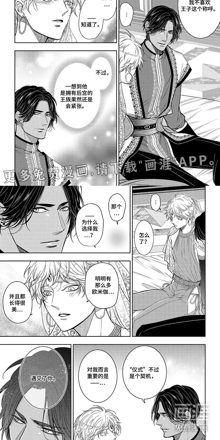 王子的禁忌Omega第6话图