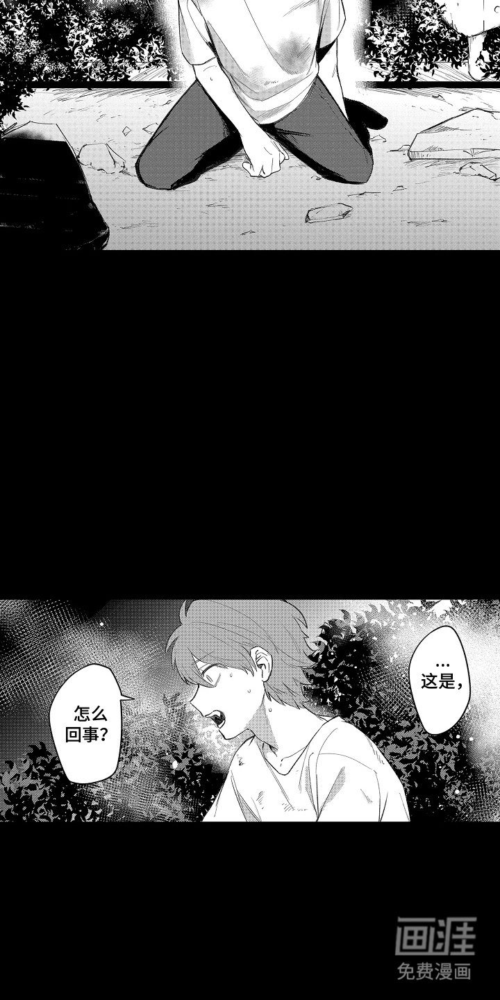 我的血液你的毒漫画-图3