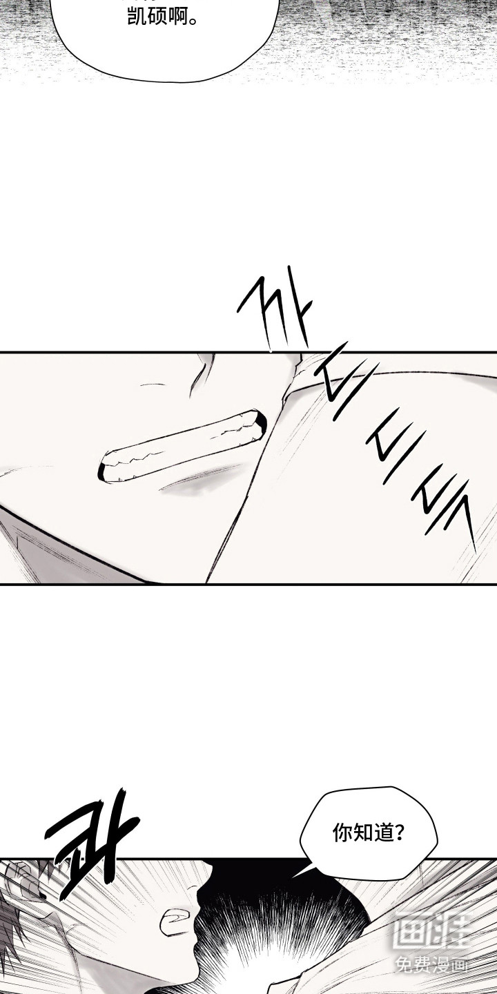 完美面具下的伪装第12话图