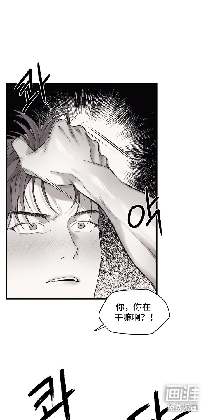 完美面具下的伪装第13话图