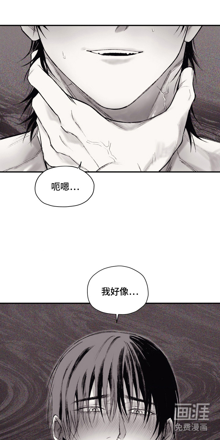 完美面具下的伪装第13话图