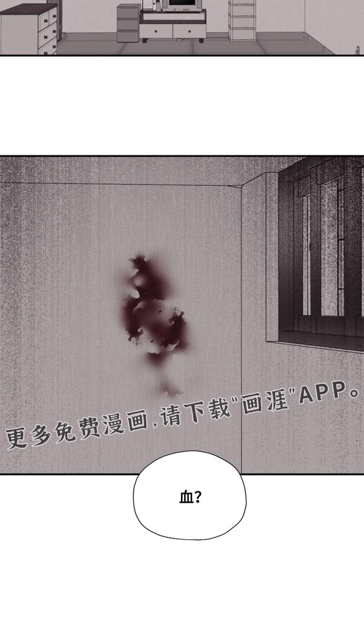 完美面具下的伪装第14话图