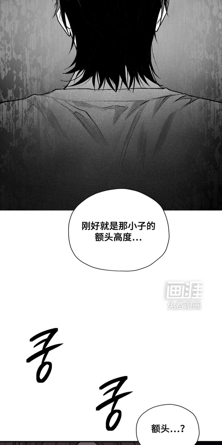 完美面具下的伪装 第15话 第5页