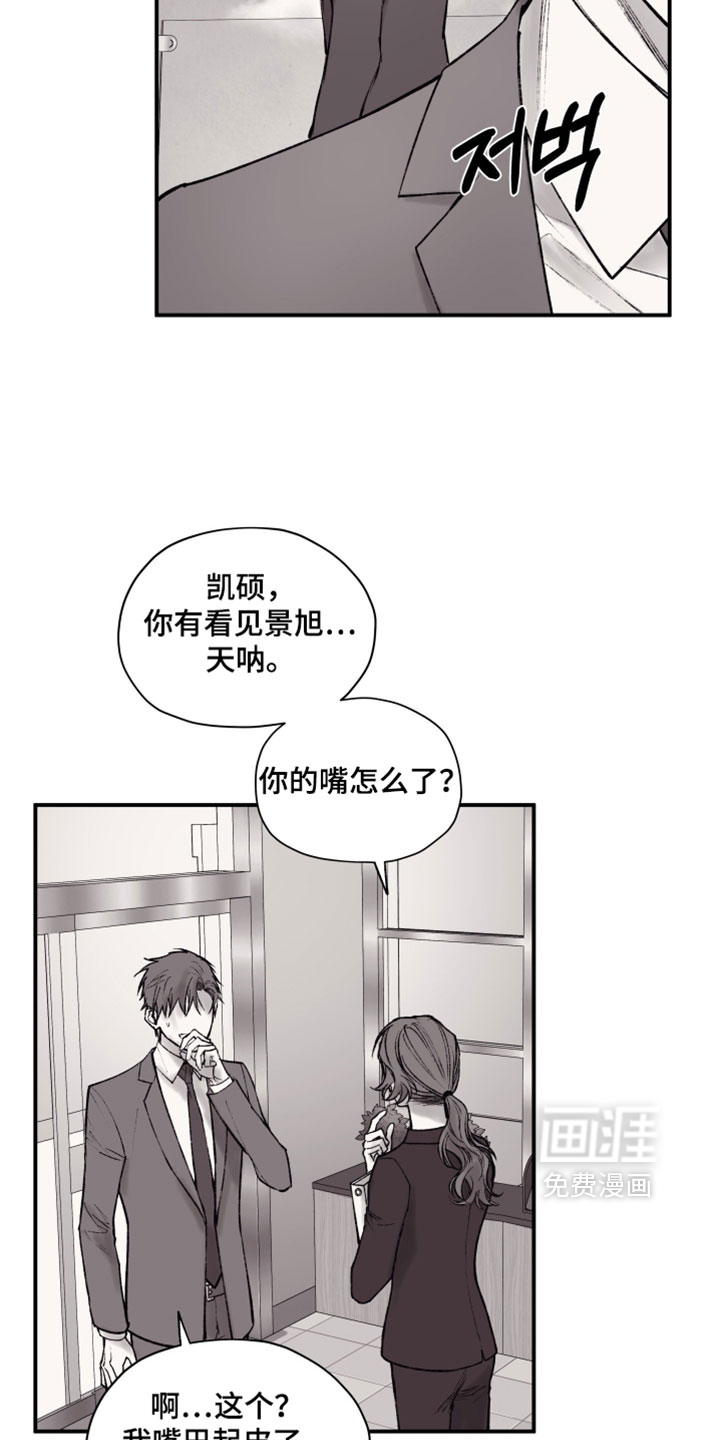 完美面具下的伪装 第17话 第11页