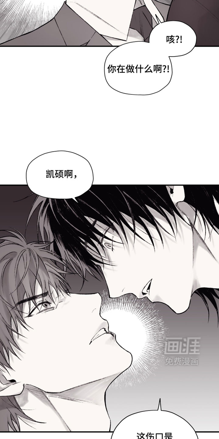 完美面具下的伪装 第19话 第1页