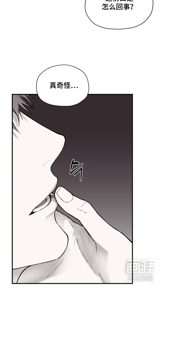 完美面具下的伪装 第19话 第2页