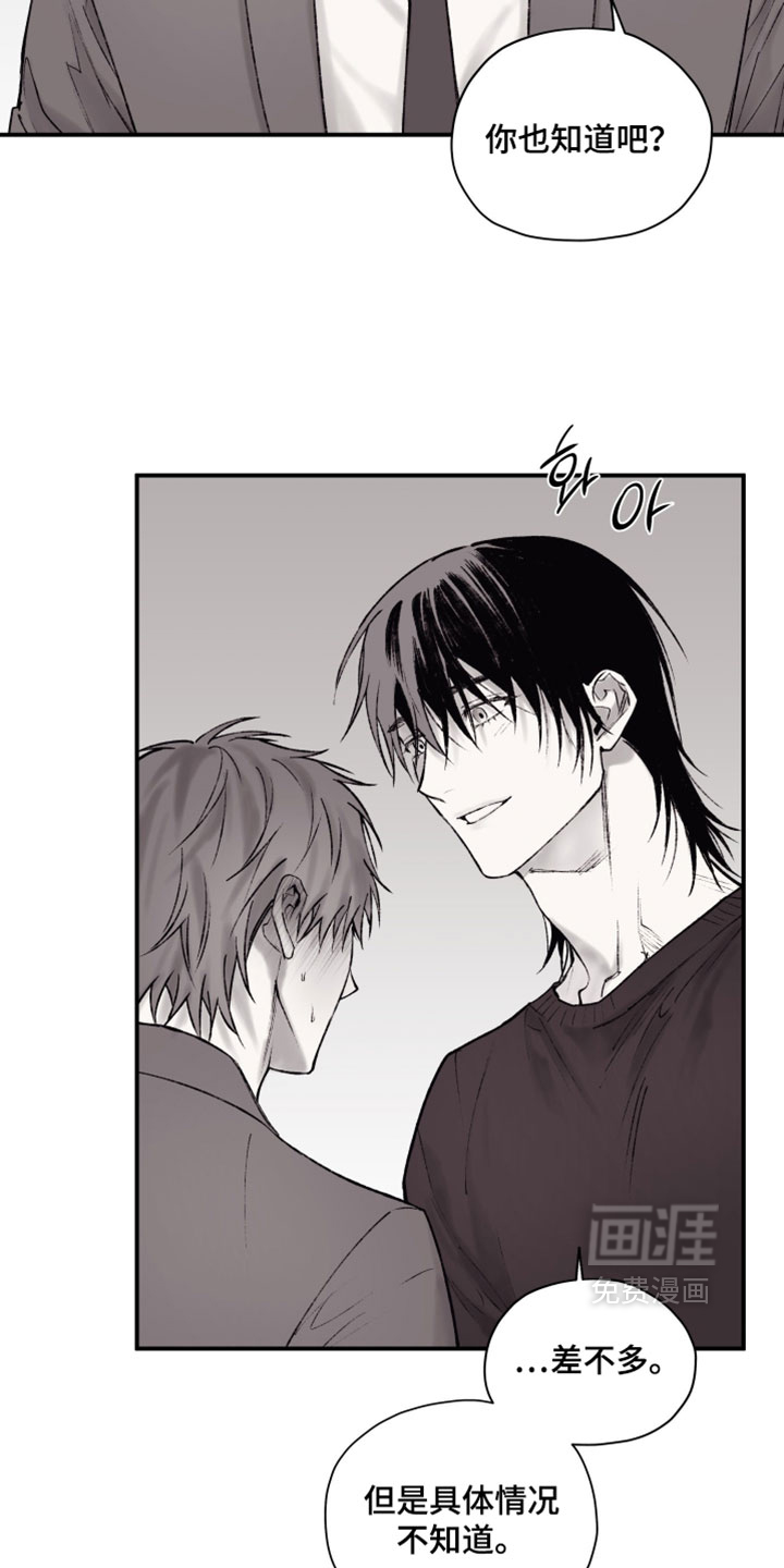 完美面具下的伪装 第19话 第10页