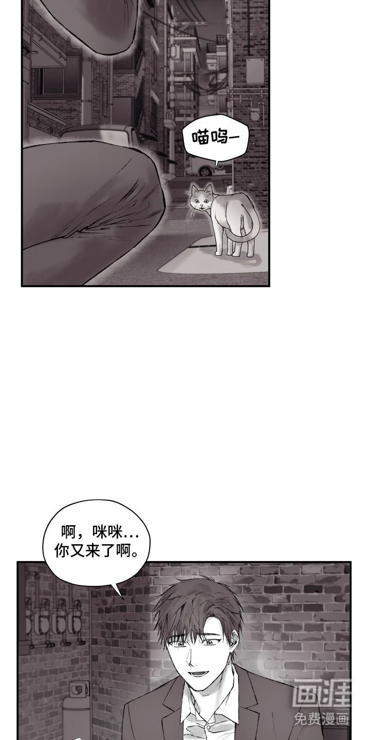 完美面具下的伪装 第3话 第1页