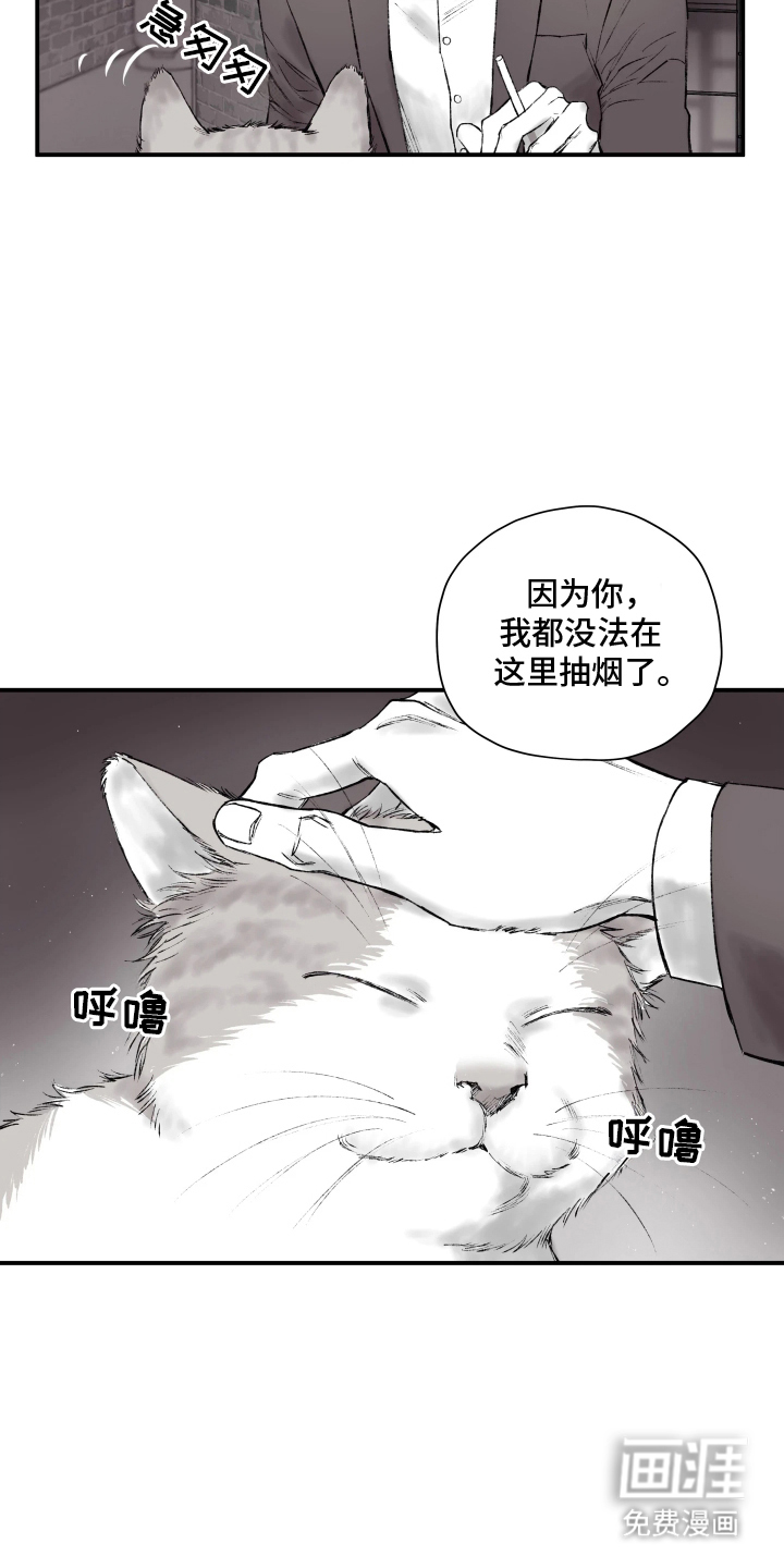 完美面具下的伪装 第3话 第2页