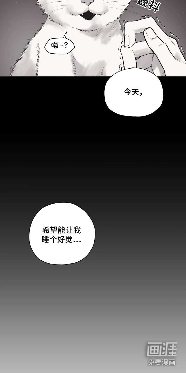 完美面具下的伪装 第3话 第5页