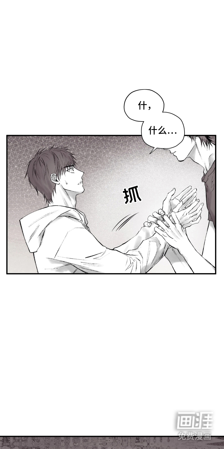 完美面具下的伪装 第4话 第5页