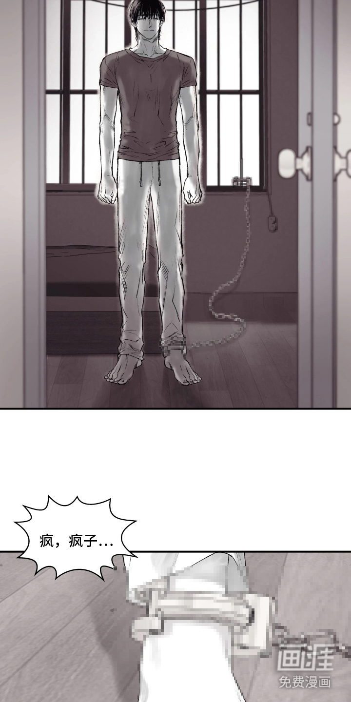 完美面具下的伪装 第4话 第13页