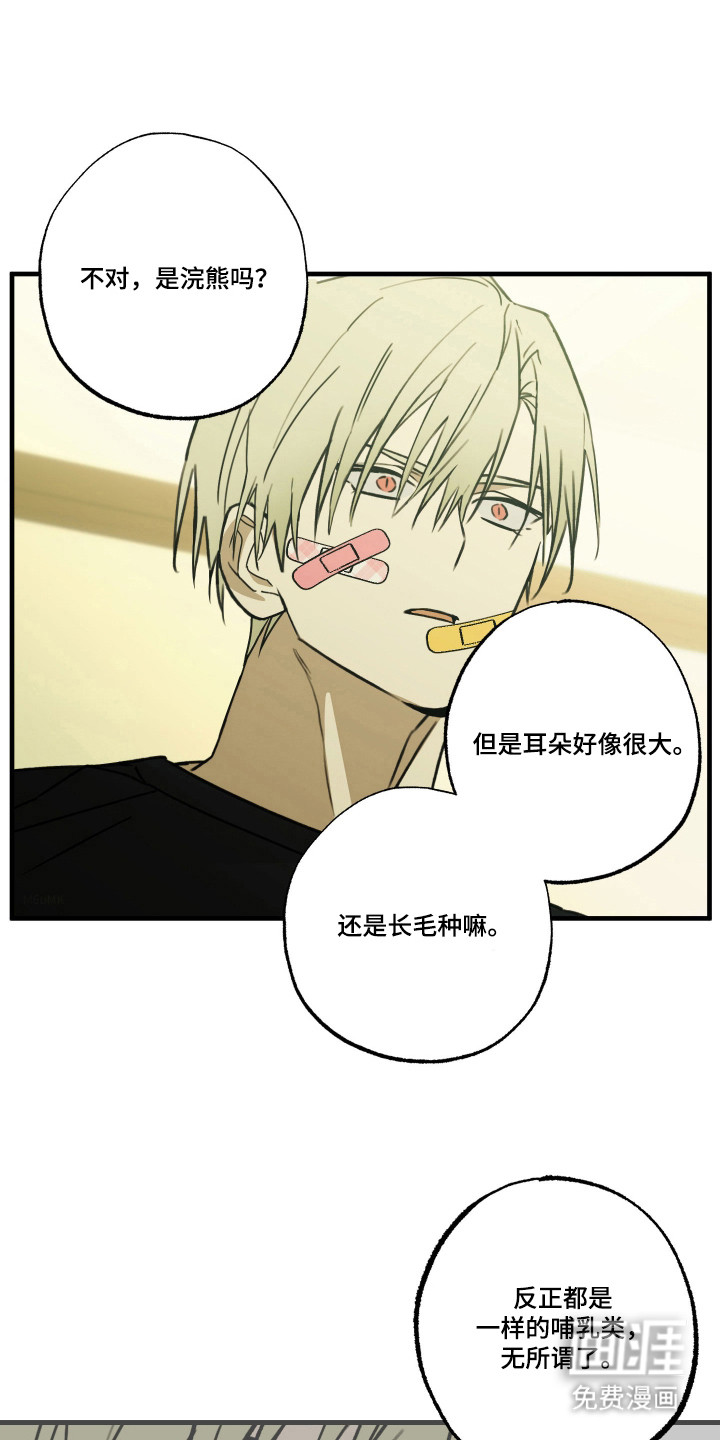 我的狐妖同事 第11话 第0页